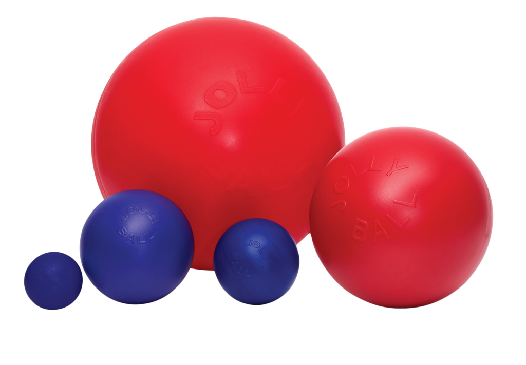 Jolly Pets Jolly Push-n-Play (35 cm)