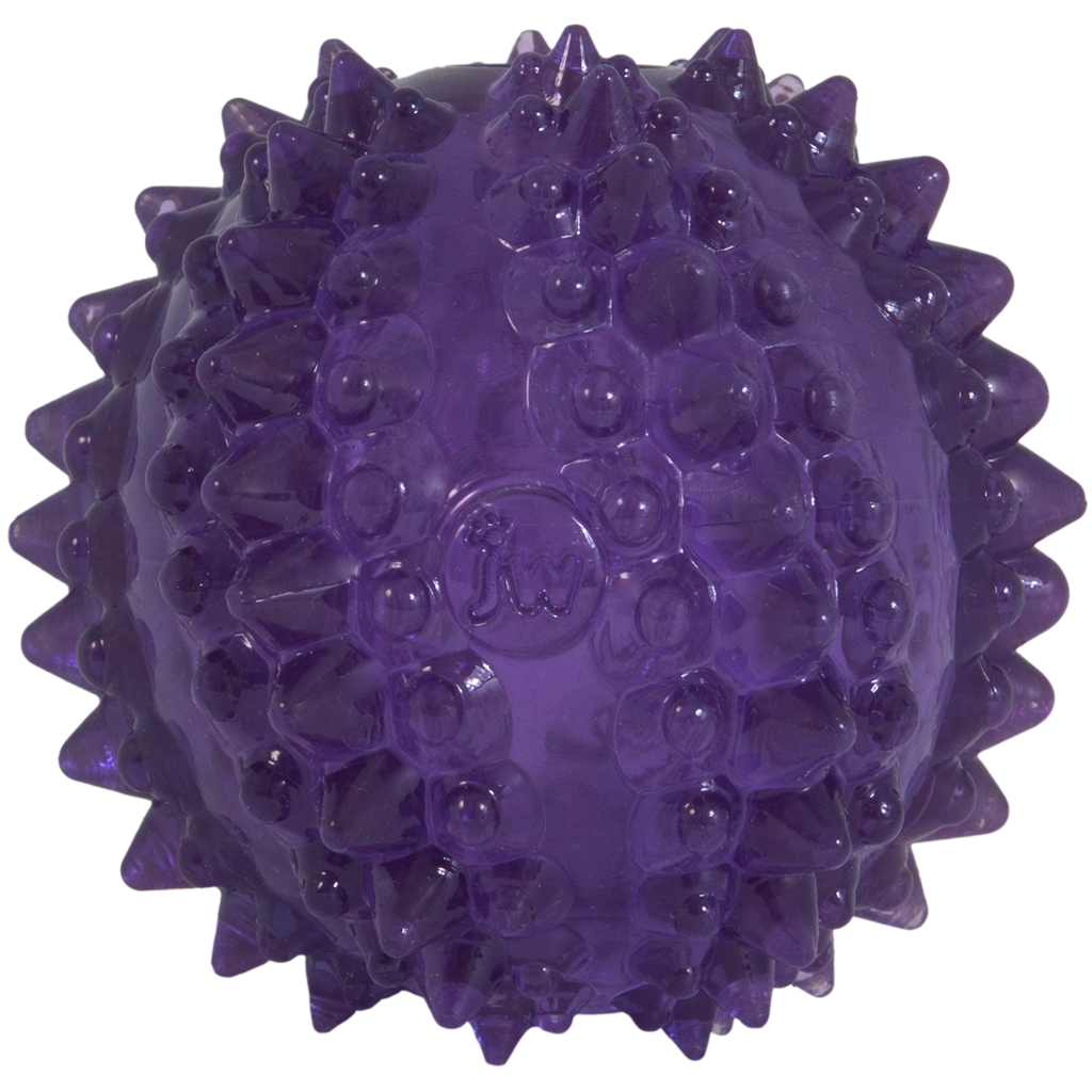 JW Puppy - Bristl-ee Cactus Ball 