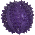 JW Puppy - Bristl-ee Cactus Ball 
