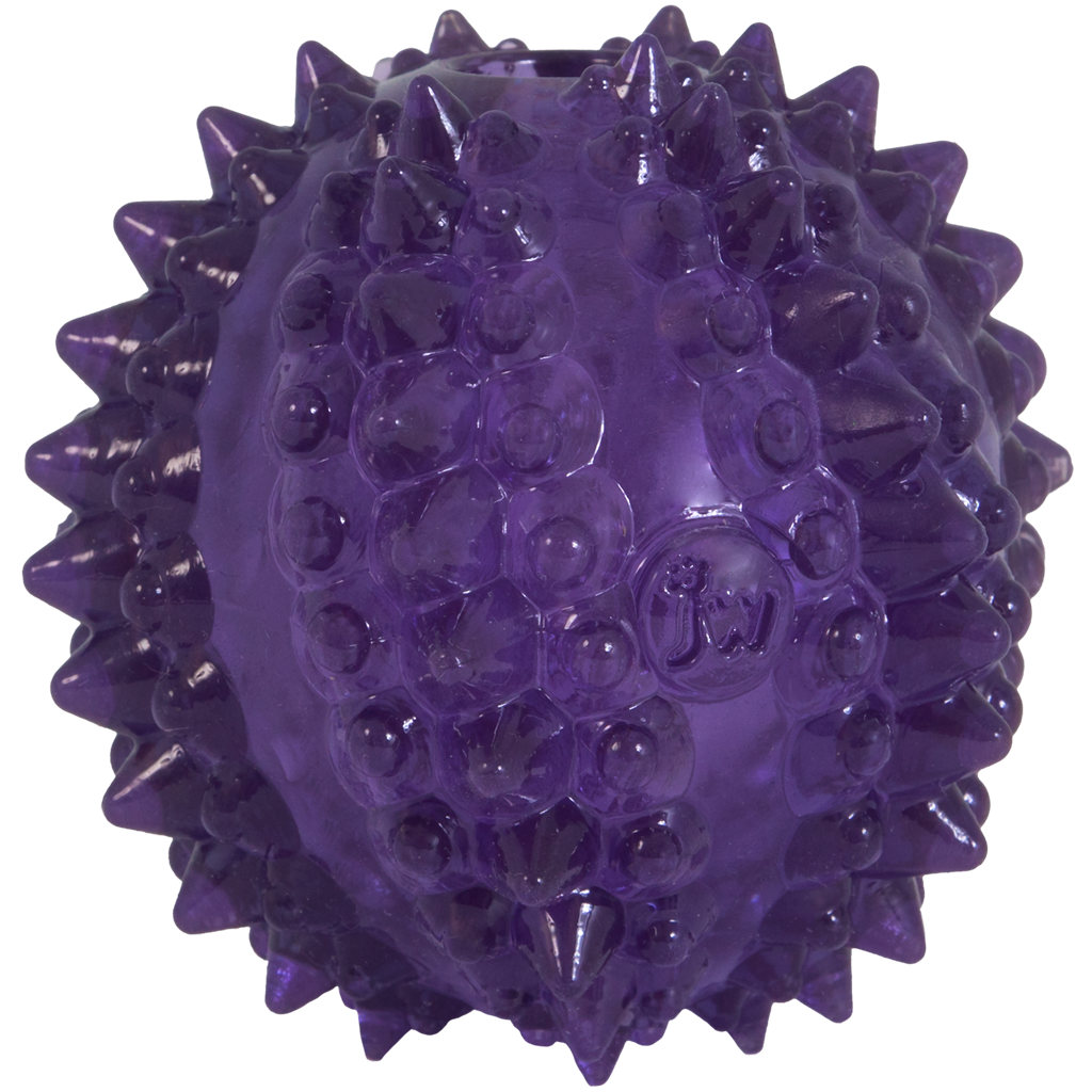 JW Puppy - Bristl-ee Cactus Ball 