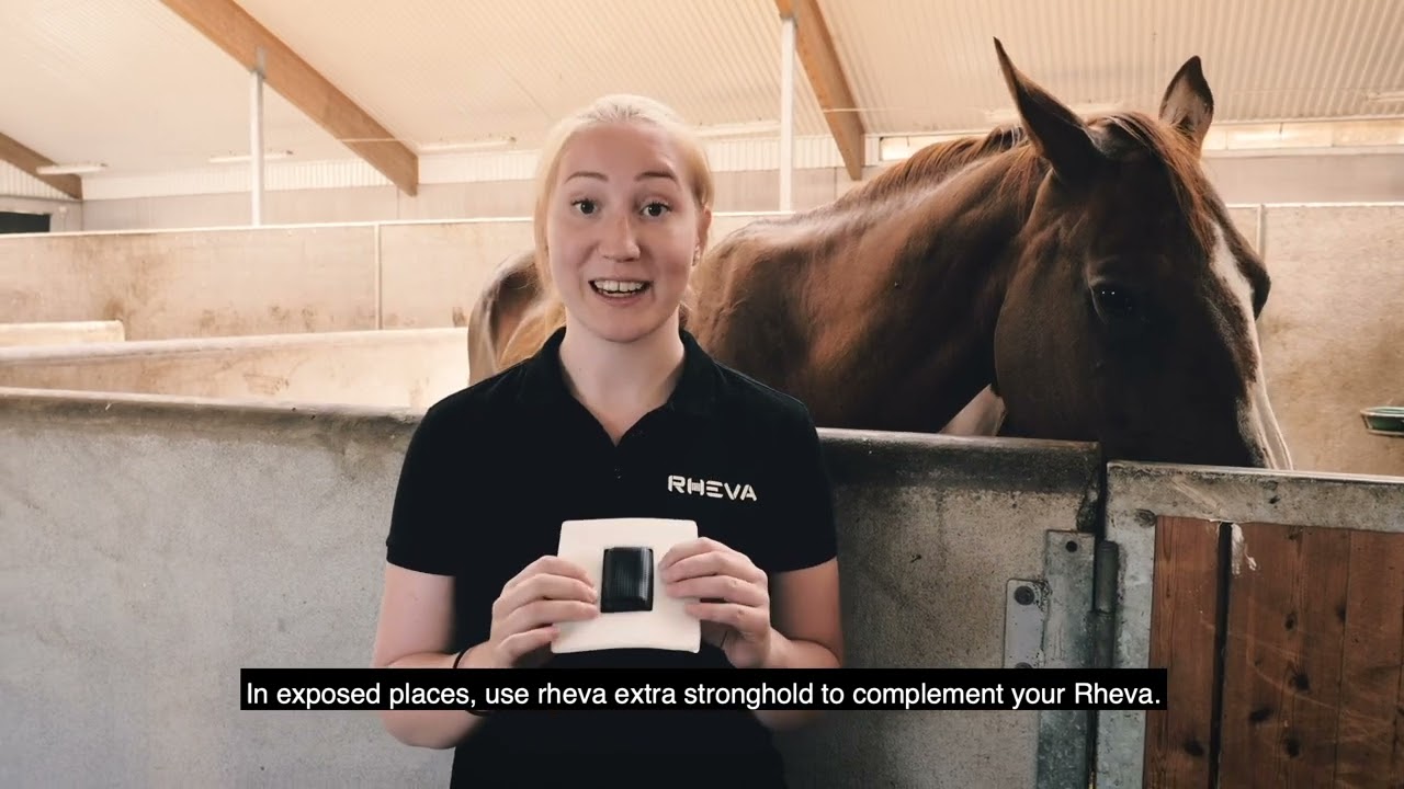 Rheva Extra Strong Combo Wound Protection 