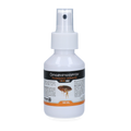 Knock Pest Ambient Spray 100 ml