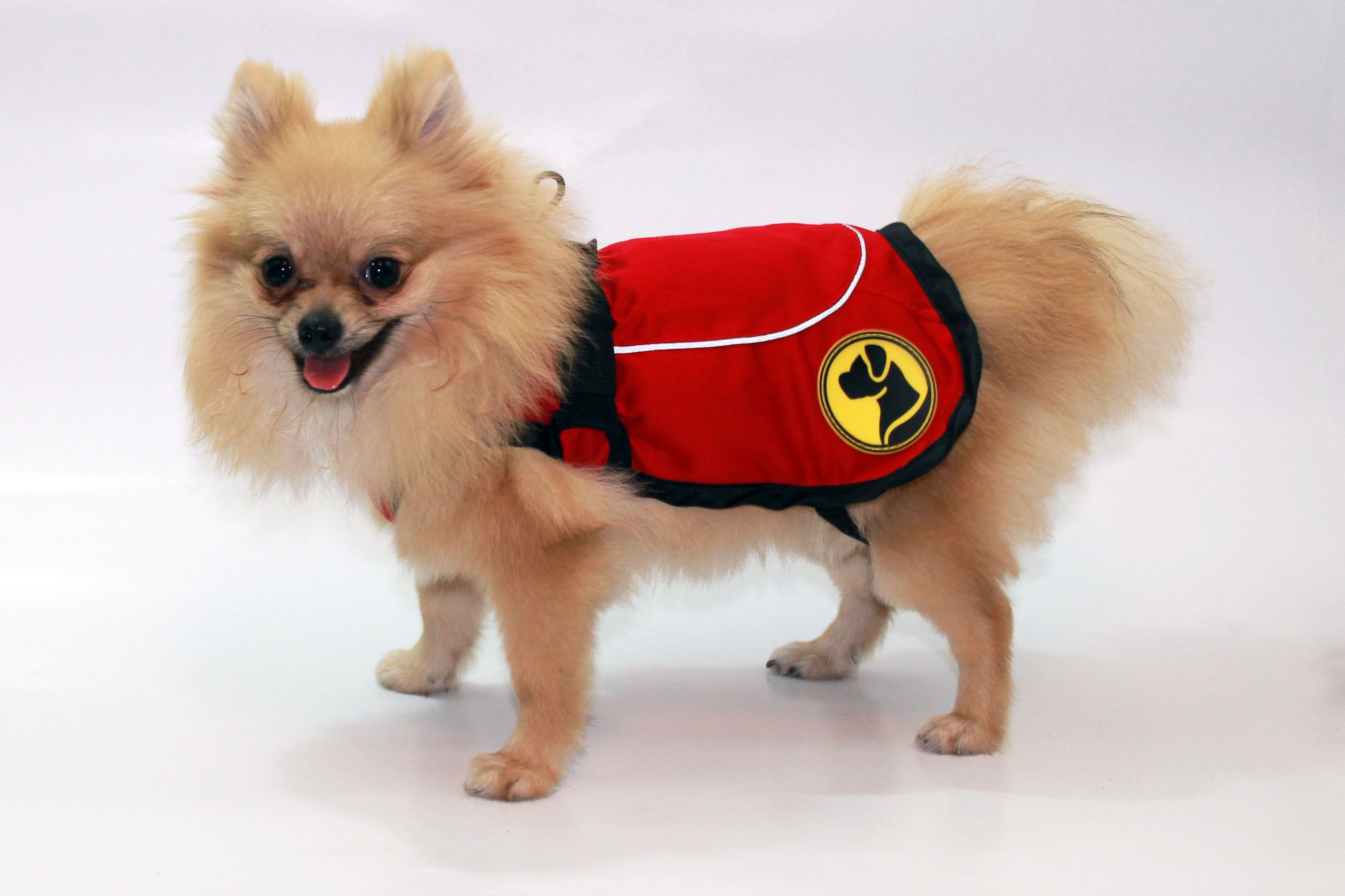 Dog Armor Knockdown Coat (Insect Shield) L (55cm backlength)