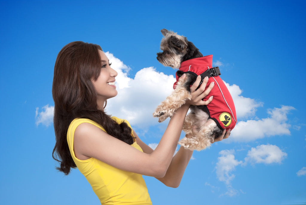 Dog Armor Knockdown Coat (Insect Shield) XXXXS (20cm backlength)