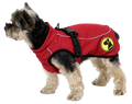 Dog Armor Knockdown Coat (Insect Shield) XS (35cm backlength)