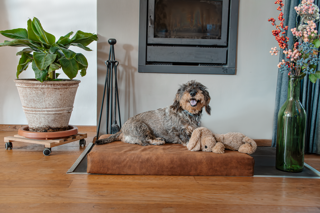 Let's Sleep Mellow Mattress Orthopaedic Bed Cognac