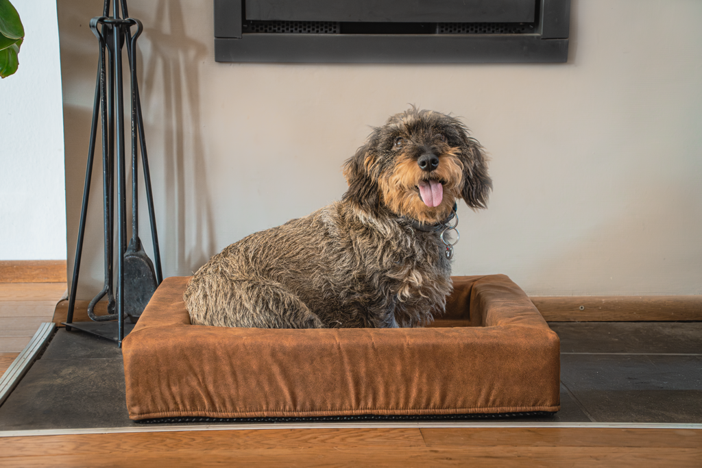 Let's Sleep Comfy Cushion Dog Basket