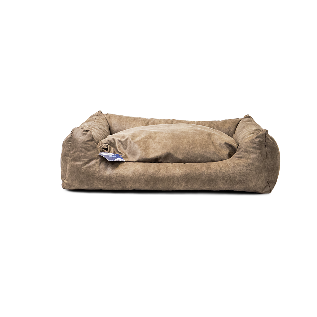 Let's Sleep Sweet Dreams Dog Basket w/ Cushion