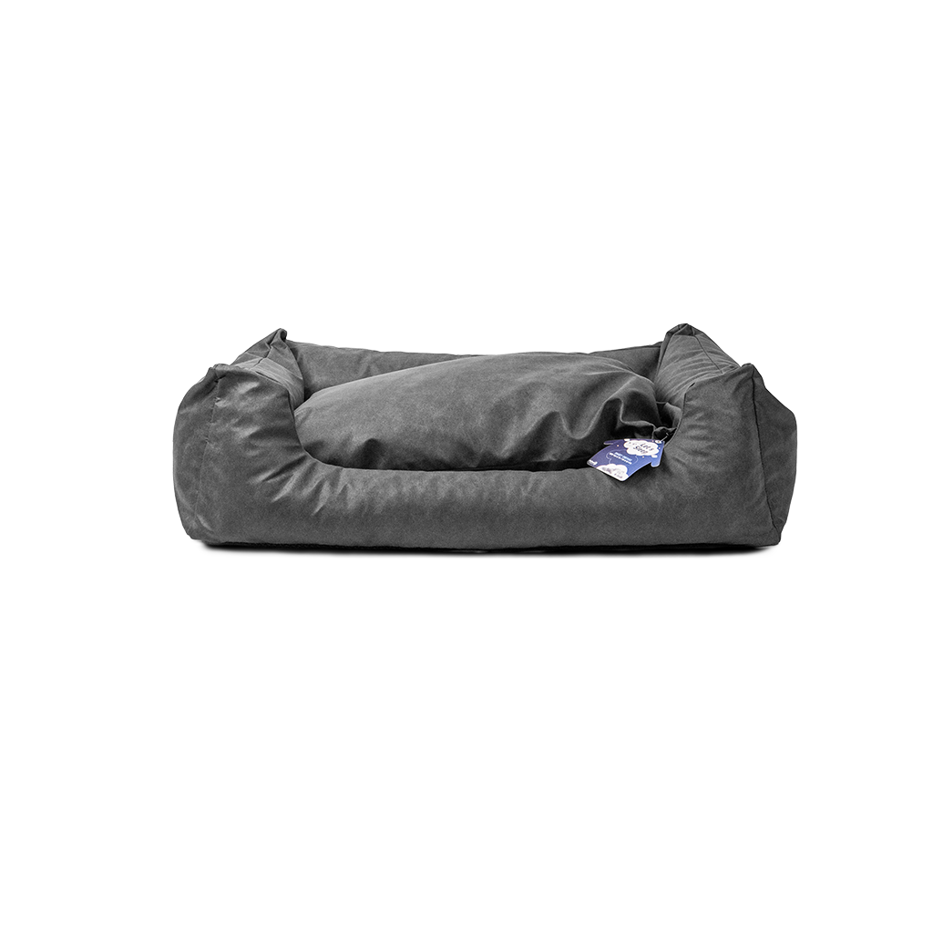 Let's Sleep Sweet Dreams Dog Basket w/ Cushion