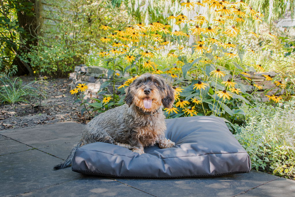 Let's Sleep Cushy Cloud Outdoor Dog Bed