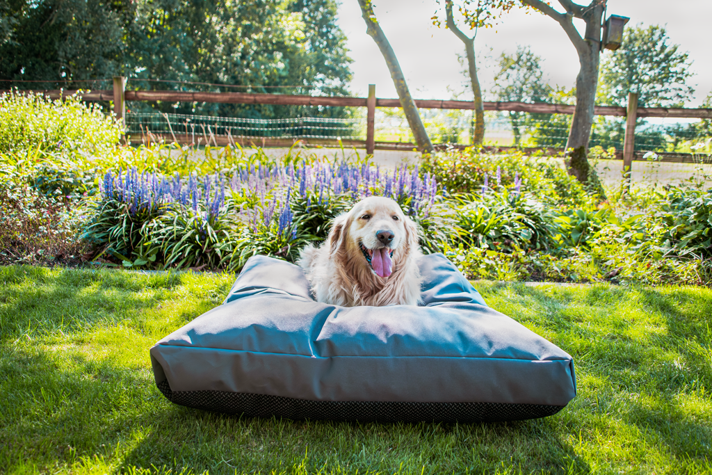 Let's Sleep Cushy Cloud Outdoor Dog Bed