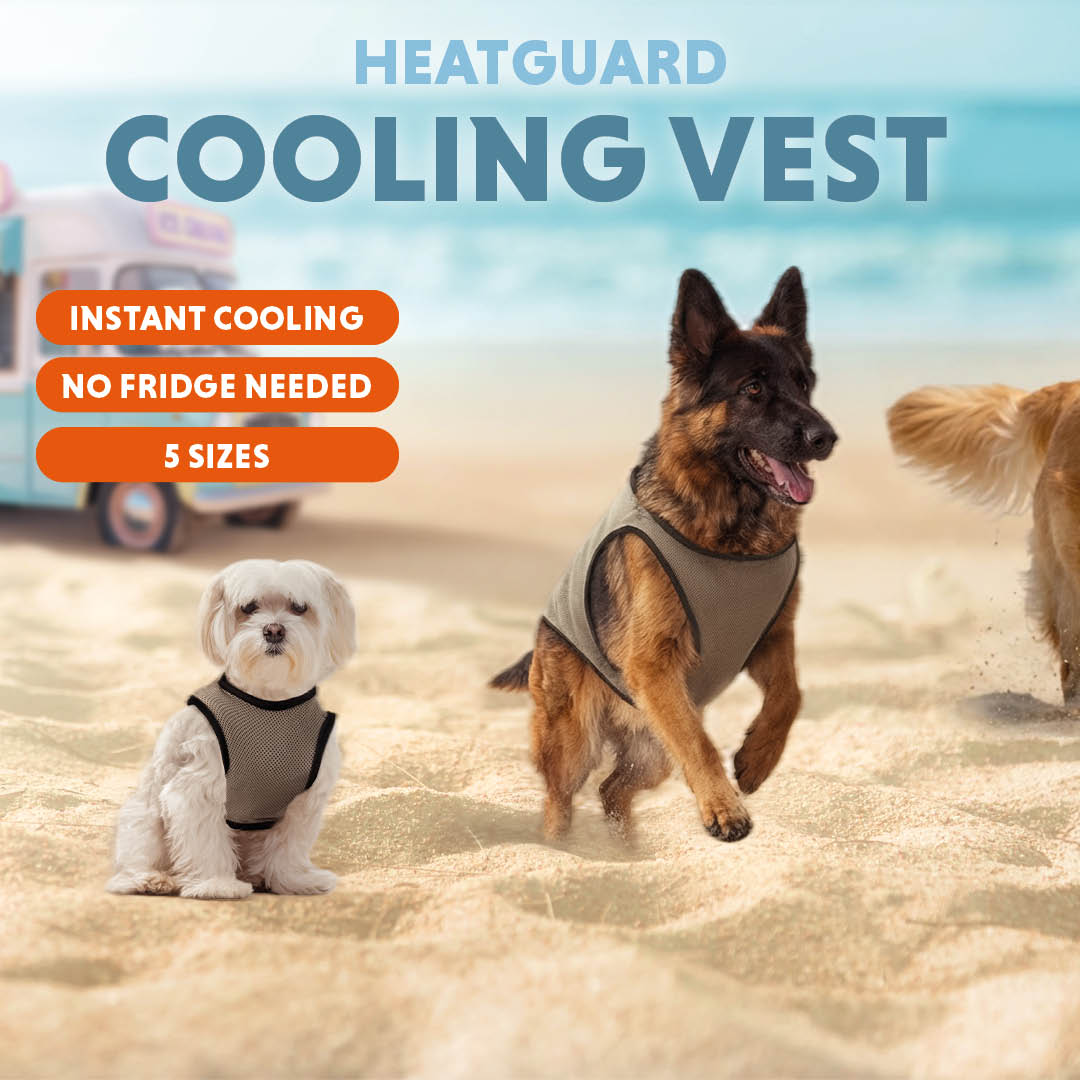 Coolpets Cooling Vest L (back size 35 cm)