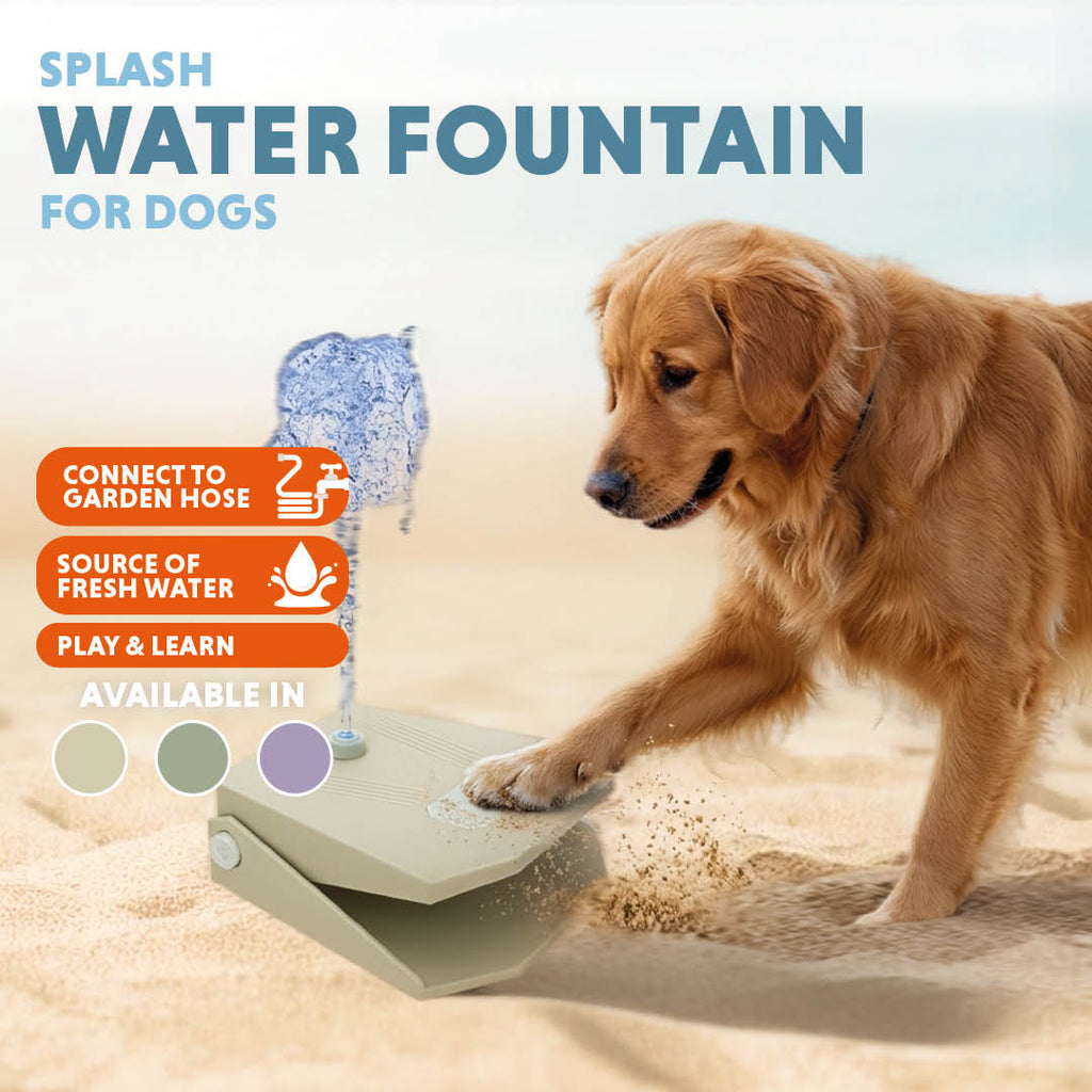 Coolpets Splash Water Fountain