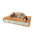 Madison Orthopedic Cushion Velvet