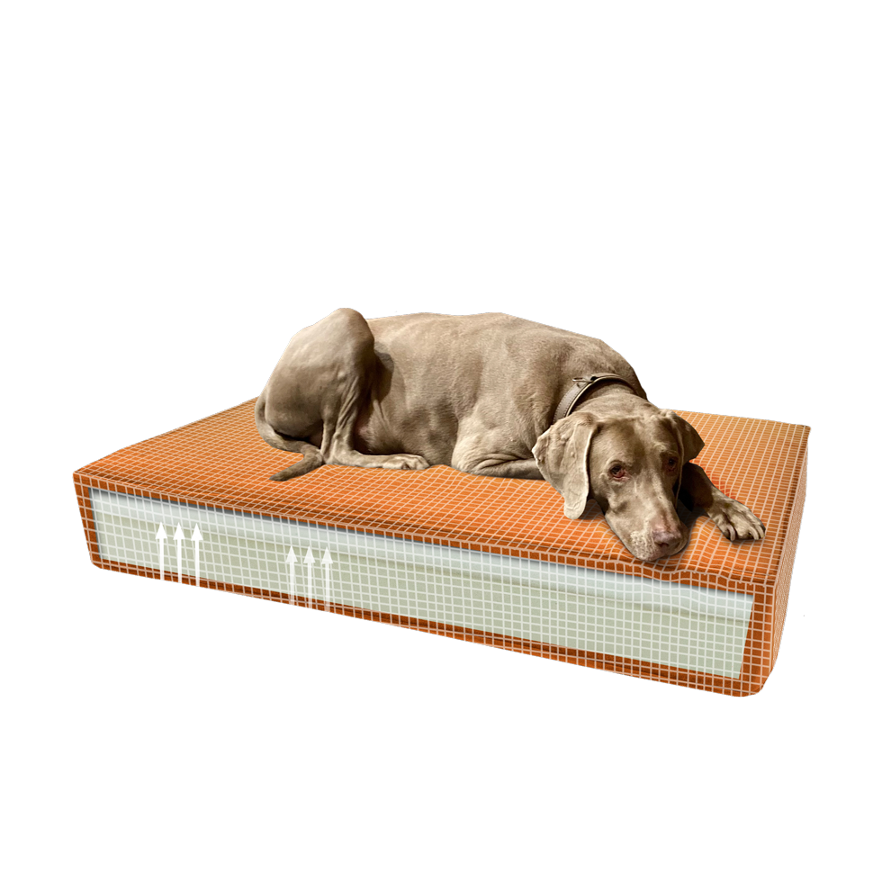 Madison Orthopedic Cushion Velvet