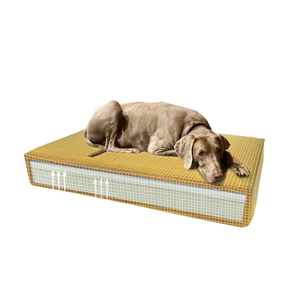 Madison Orthopedic Cushion Velvet