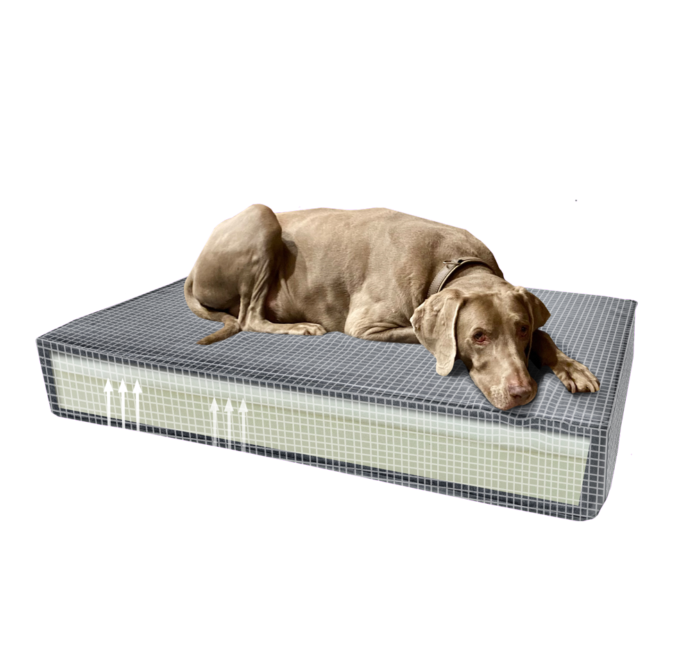 Madison Orthopedic Cushion Velvet