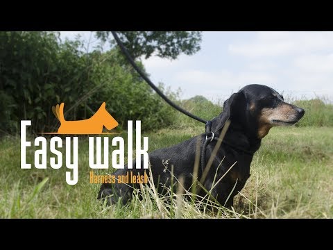 Easy Walk Handheld Black