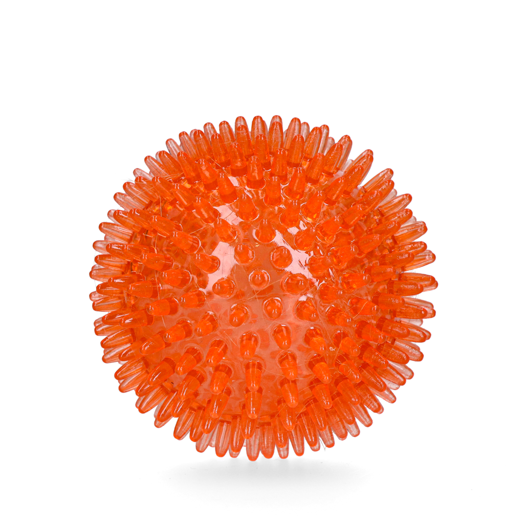 Oranje WK Egelbal M