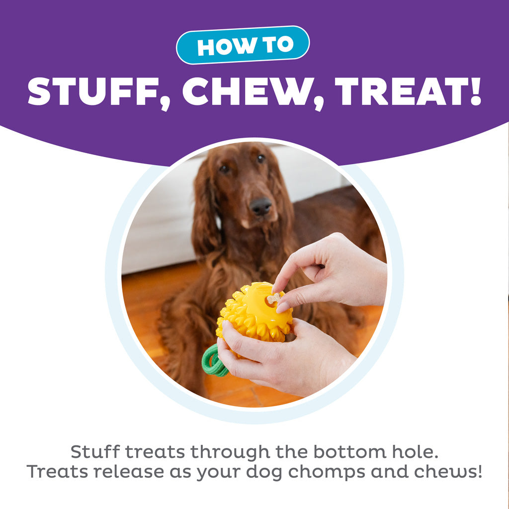 Outward Hound Dental Pineapple