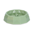 Pawise My Slow Feeding Bowl
