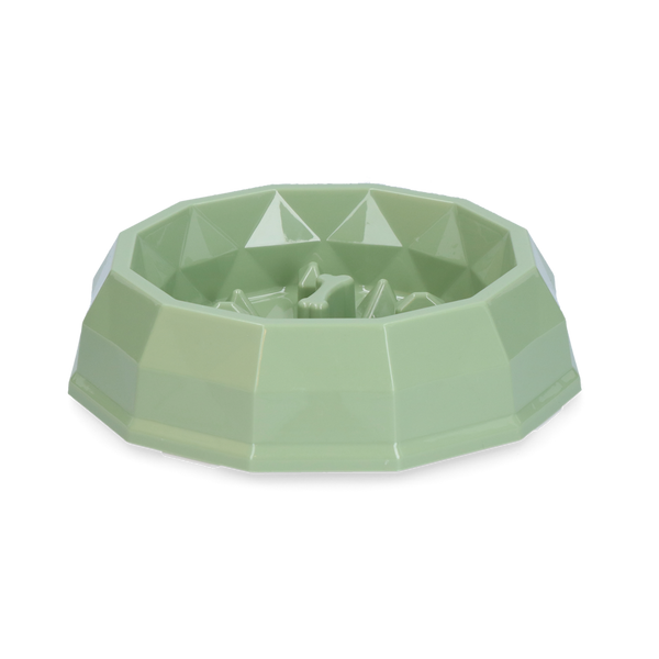 Pawise My Slow Feeding Bowl