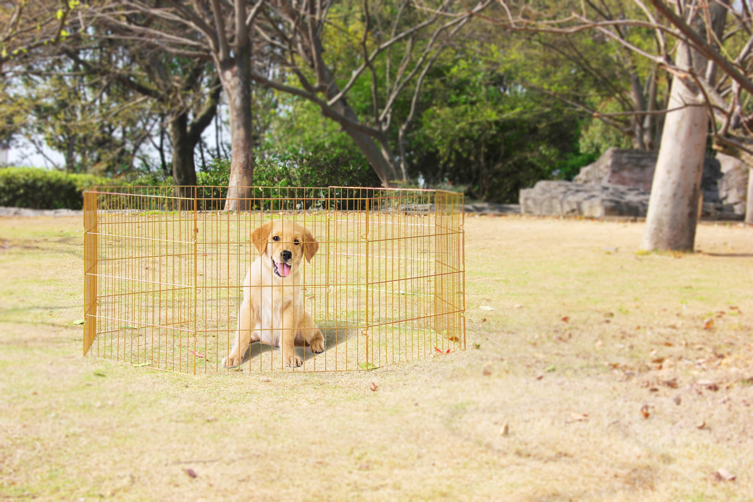Pawise Dog Play Pen