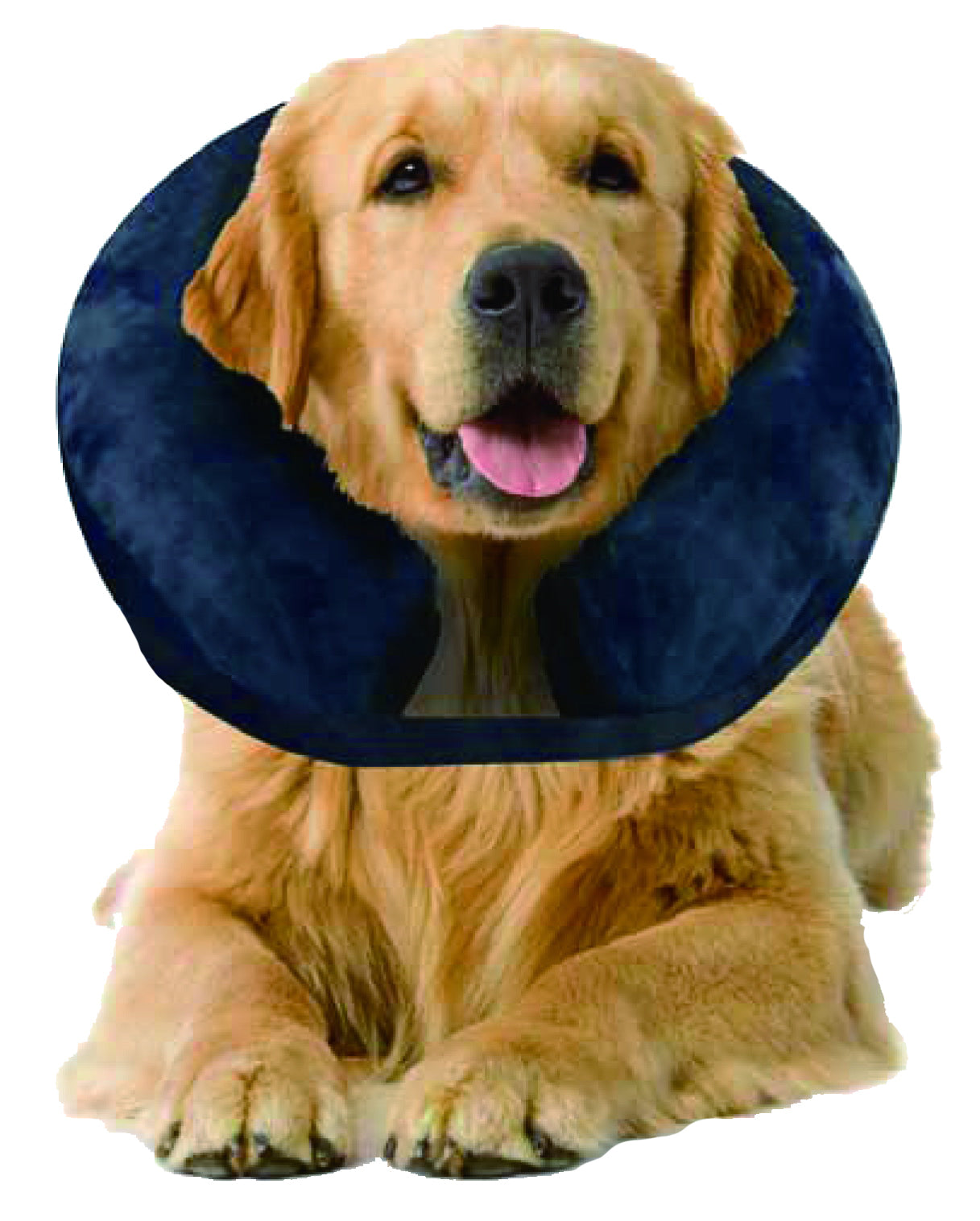 Pawise Inflatable Protective Collar