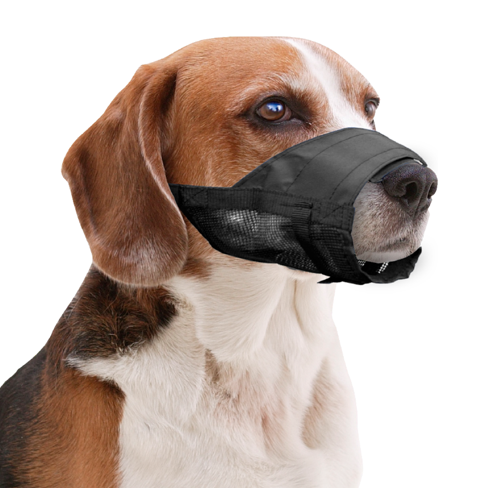 Pawise Adjustable Nylon Muzzle