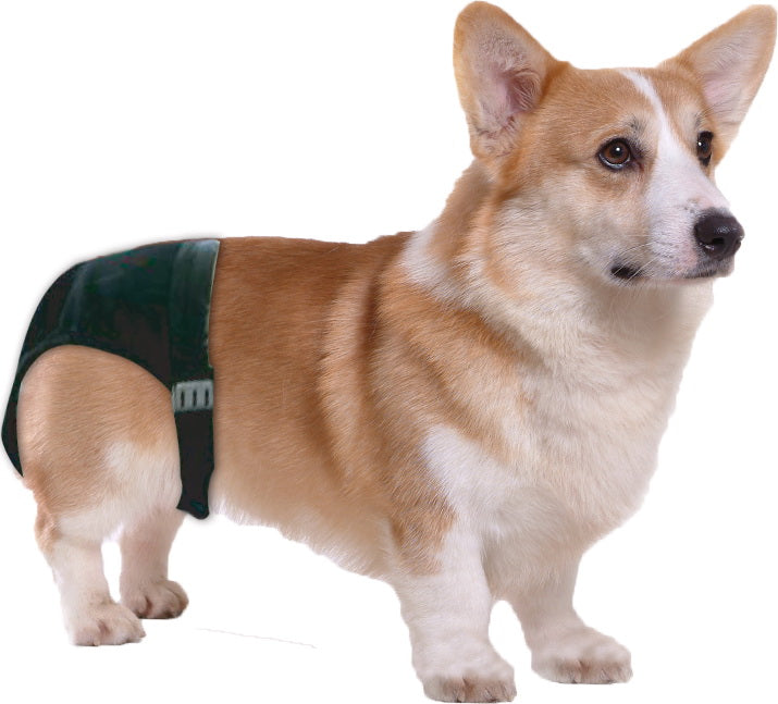 Pawise Sanitary Pants