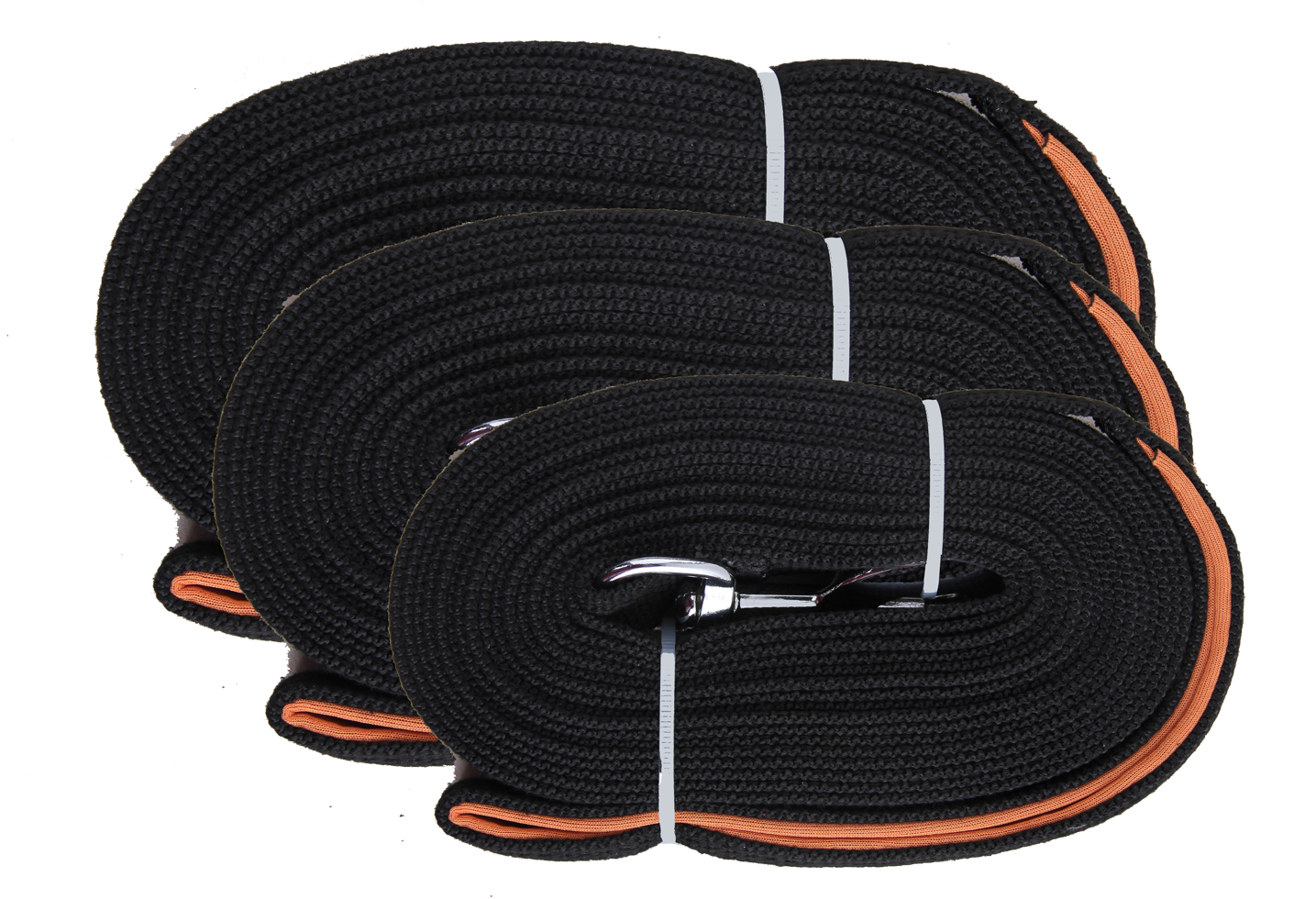 Pawise Long training leash 15 m