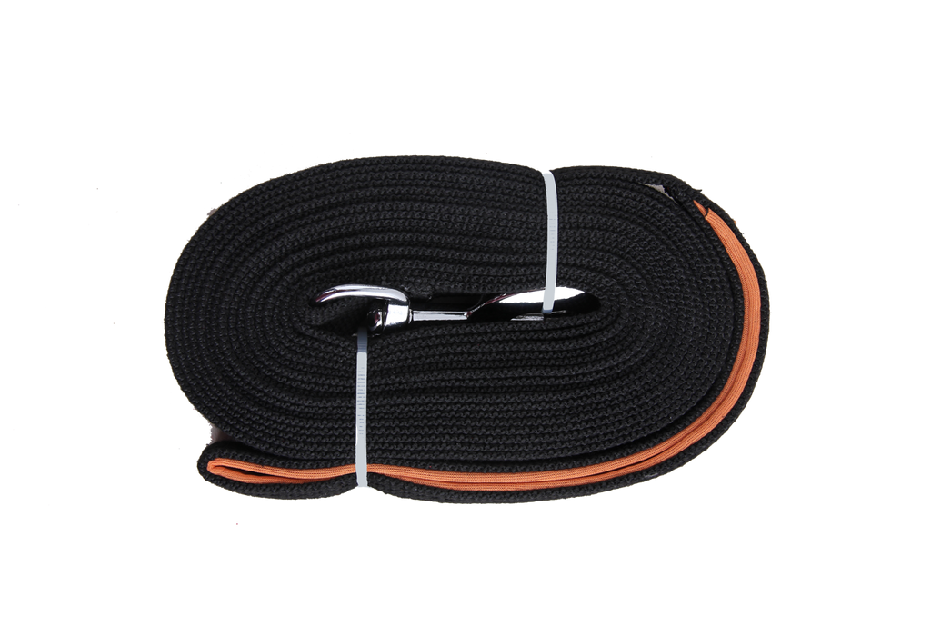 Pawise Long training leash 5 m