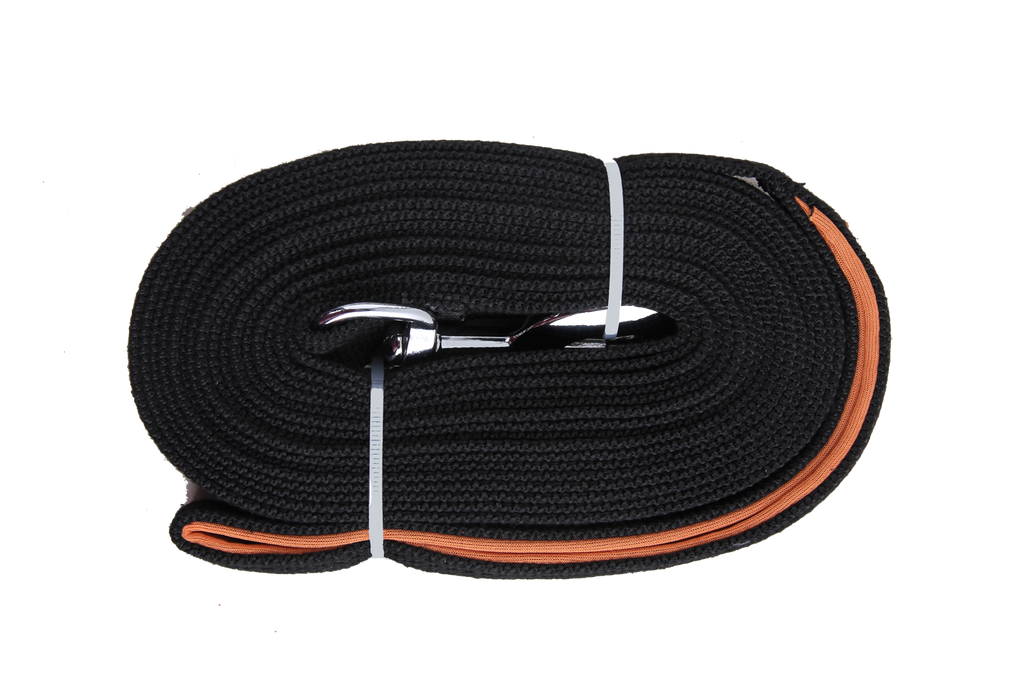 Pawise Long training leash 10 m