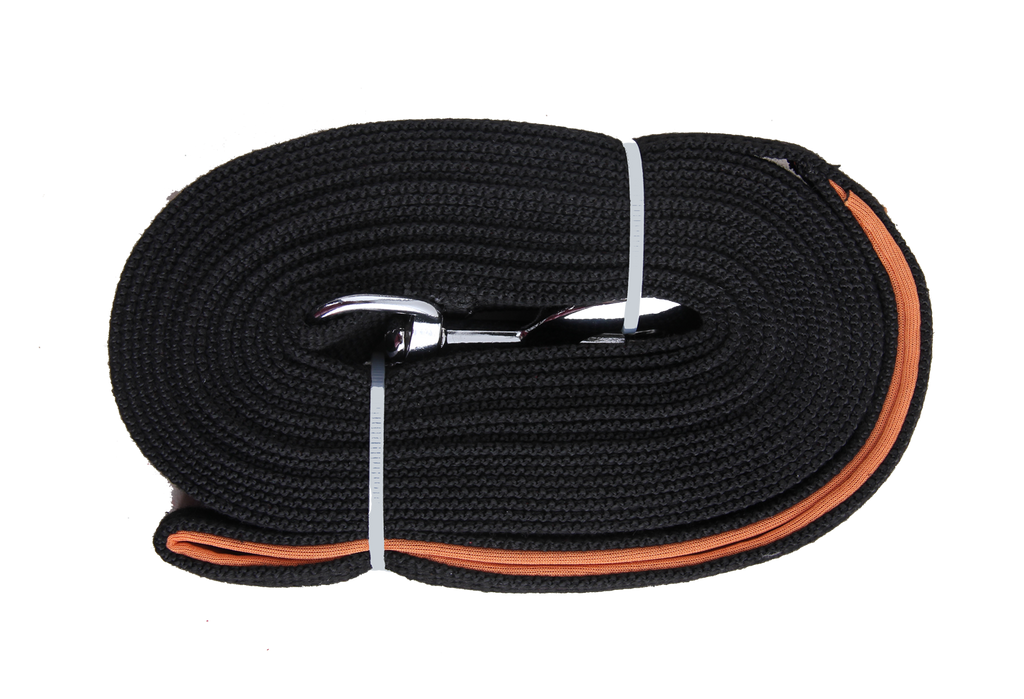 Pawise Long training leash 15 m