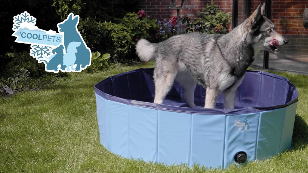 CoolPets Splash Dog Pool ø 120 x 30 cm