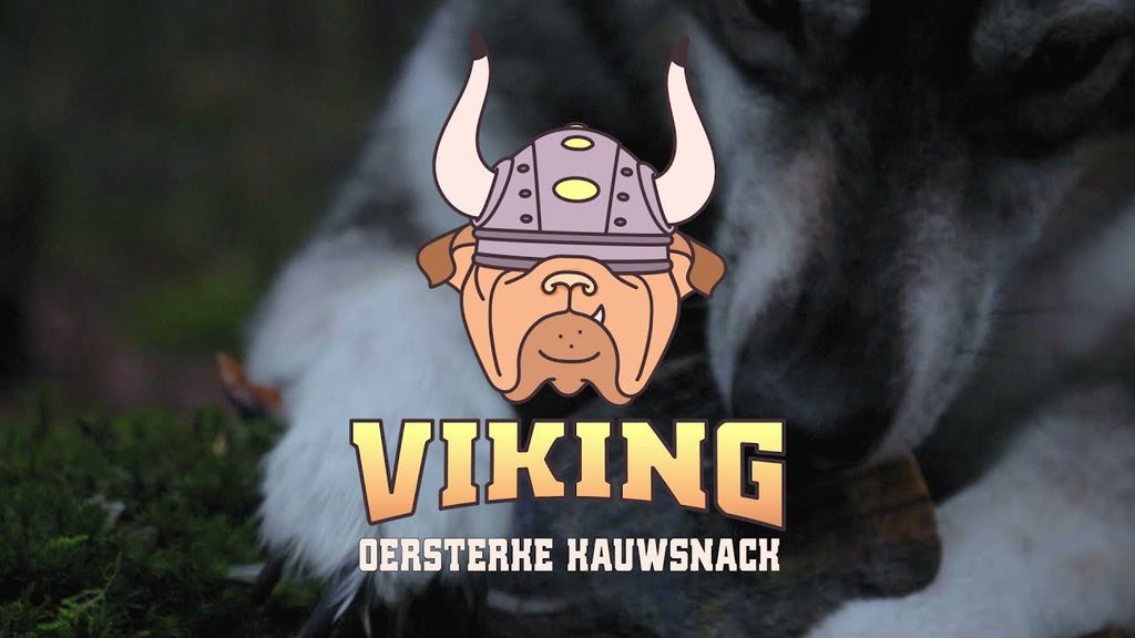Viking Horn Whole S
