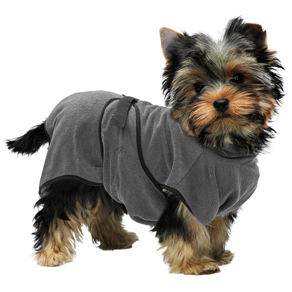 Royal Dry Bathrobe For Dogs