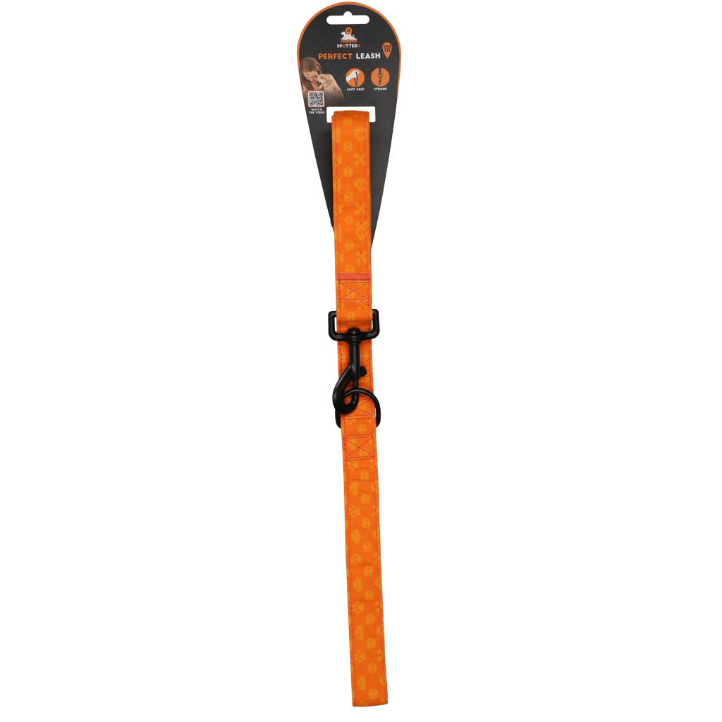 Spotted! Pro Perfect Leash