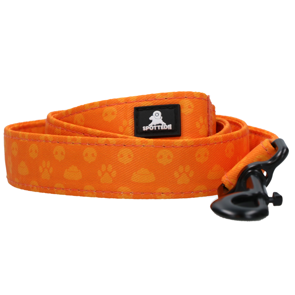 Spotted! Pro Perfect Leash