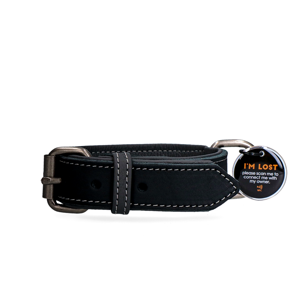 Spotted! Pro Leather Collar 3 x