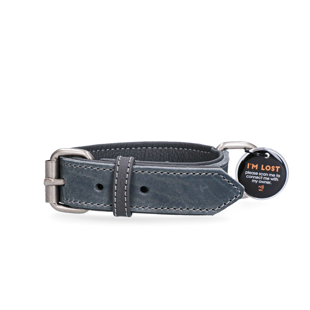 Spotted! Pro Leather Collar Grey 2.5x40cm