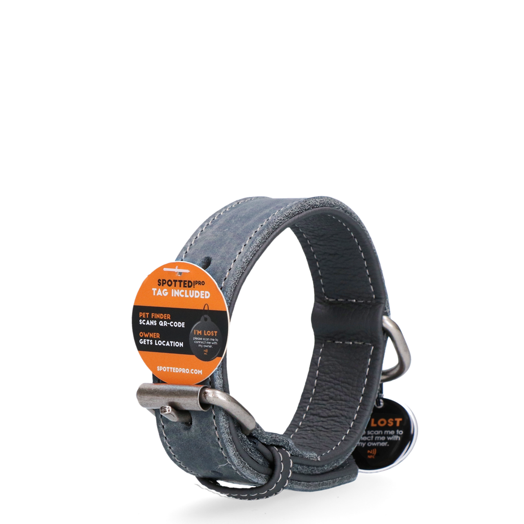 Spotted! Pro Leather Collar Grey 2.5x40cm