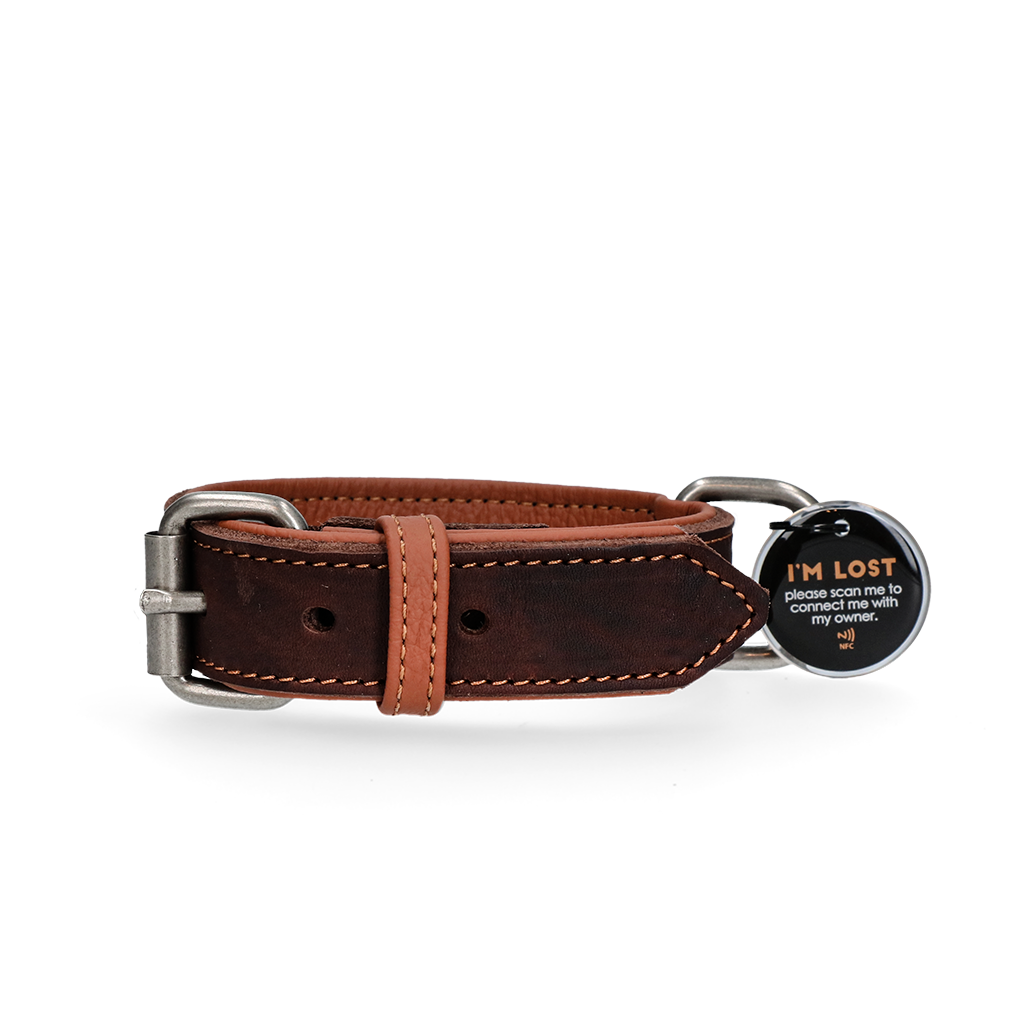 Spotted! Pro Leather Collar 2.5 x
