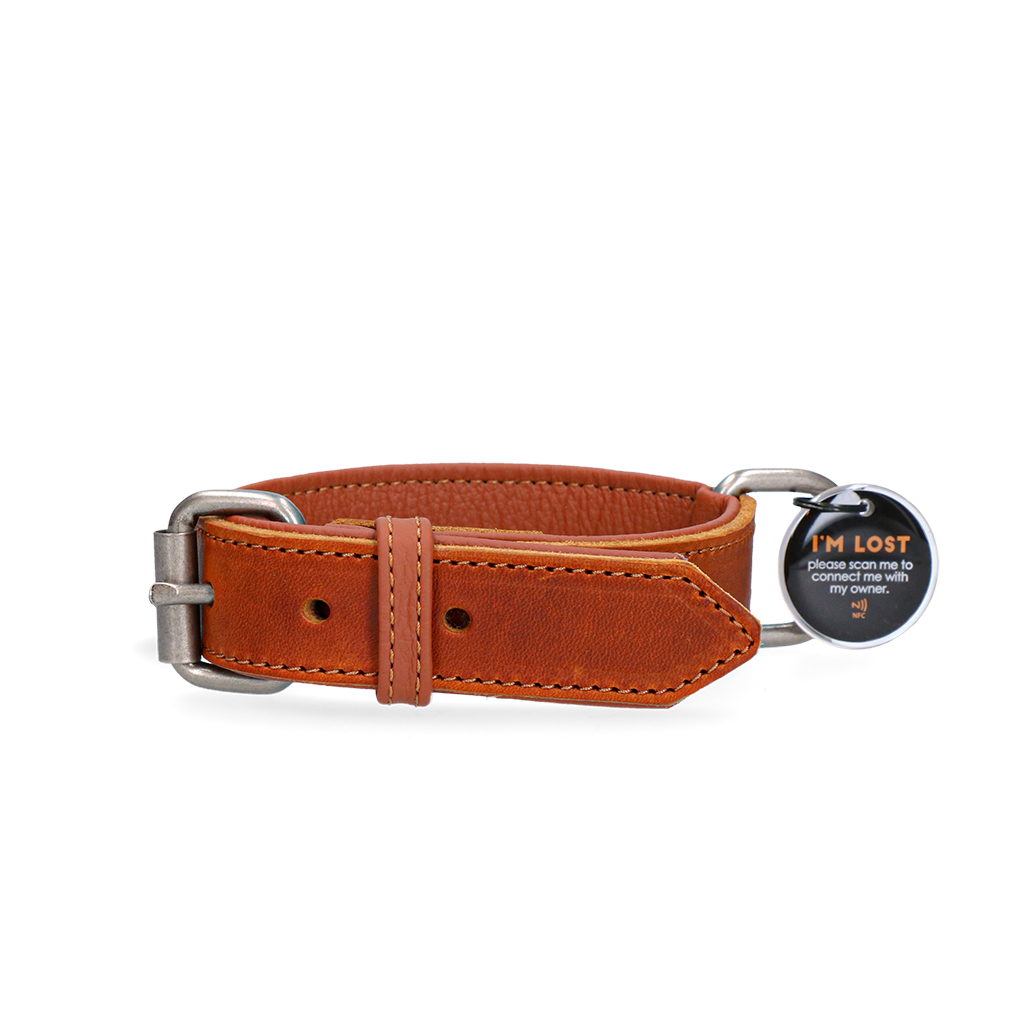 Spotted! Pro Leather Collar Cognac 2.5 x