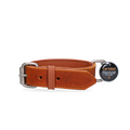 Spotted! Pro Leather Collar Cognac 2.5 x