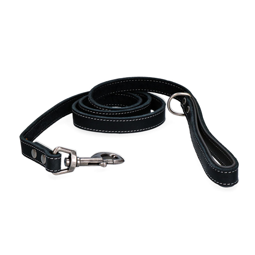 Spotted! Pro Leather Dog Leash