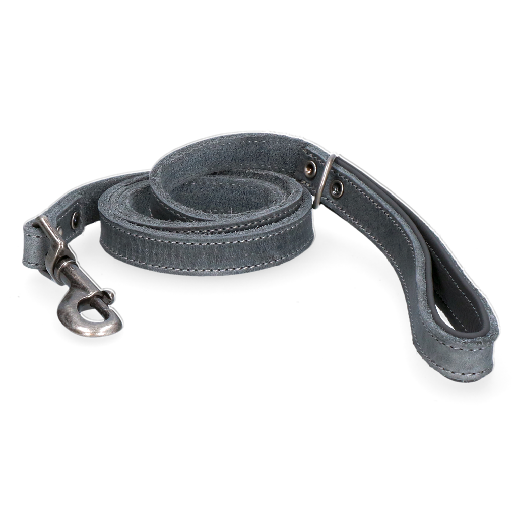 Spotted! Pro Leather Dog Leash