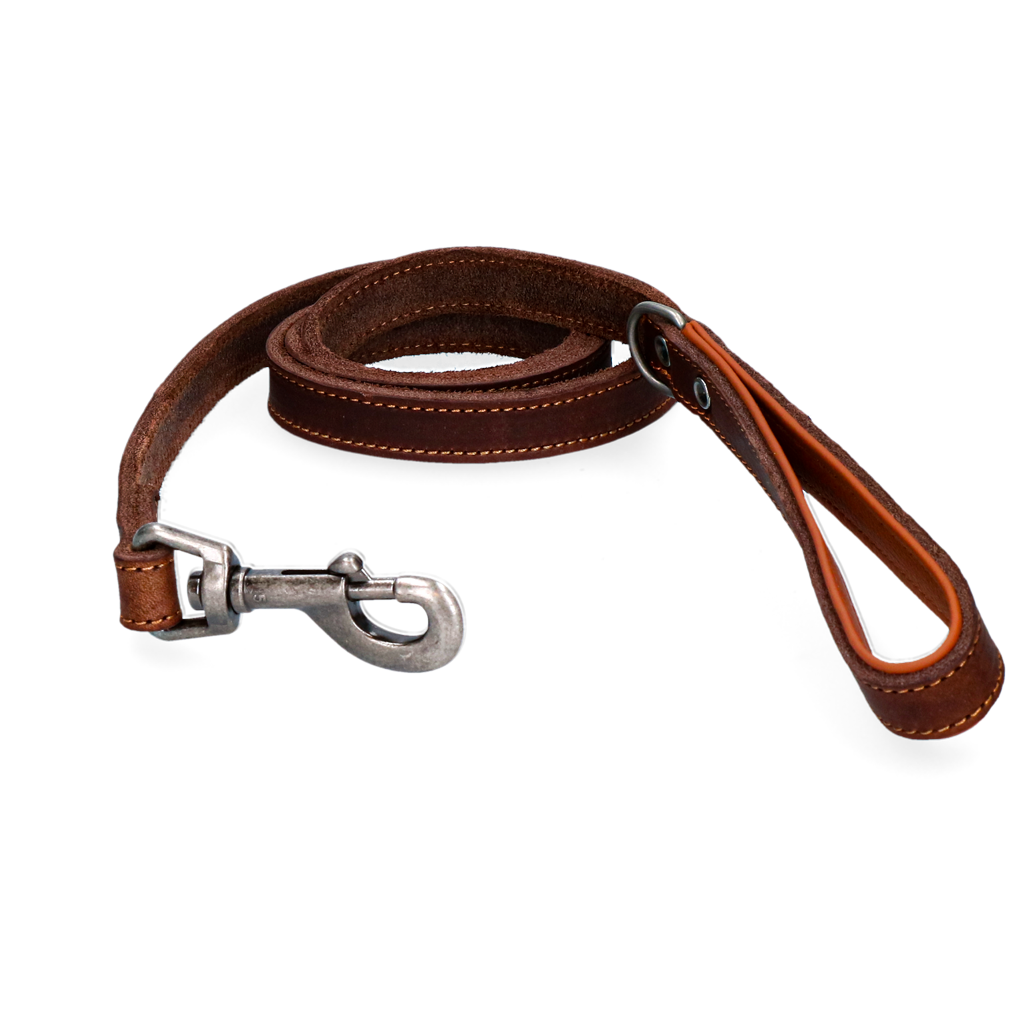 Spotted! Pro Leather Dog Leash