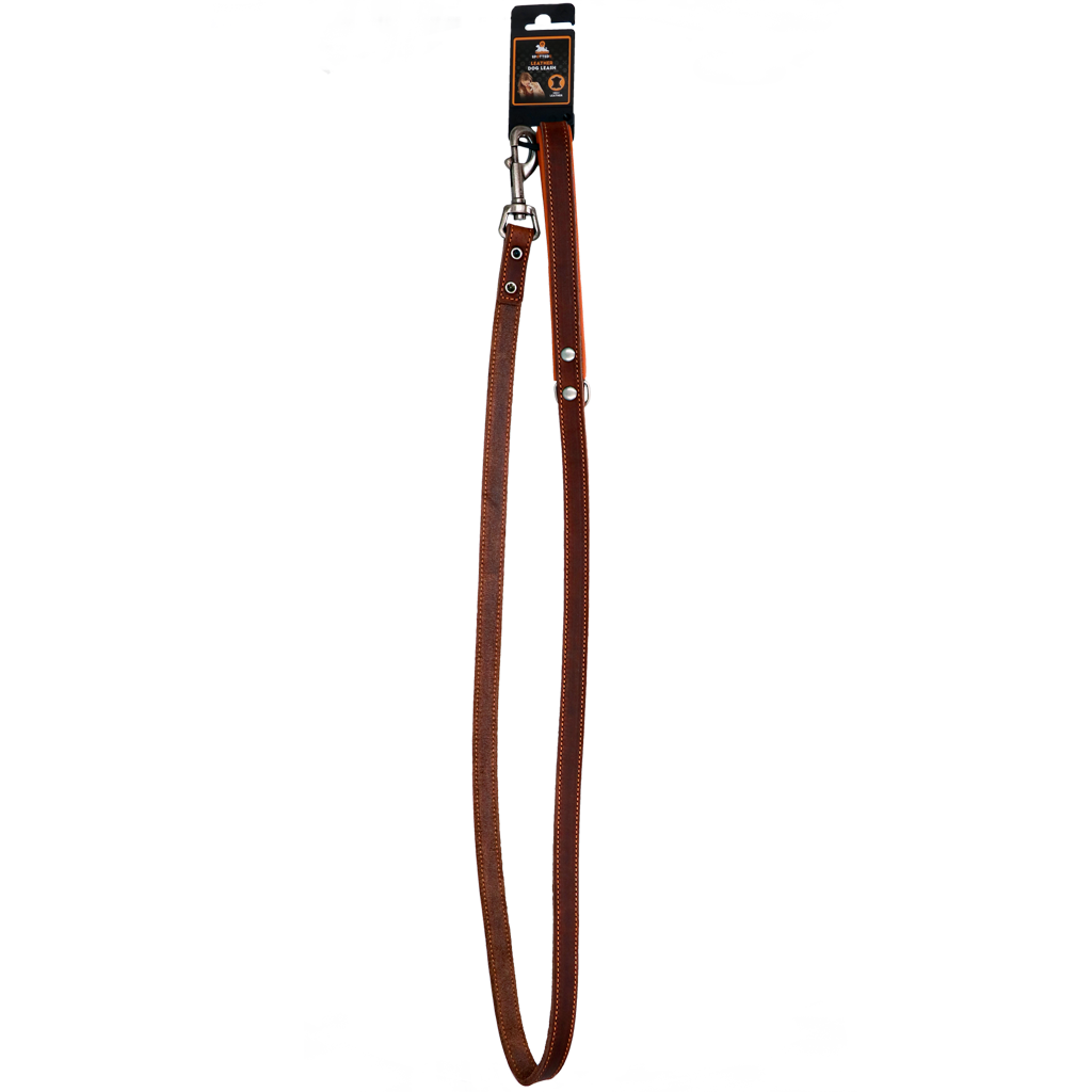 Spotted! Pro Leather Dog Leash