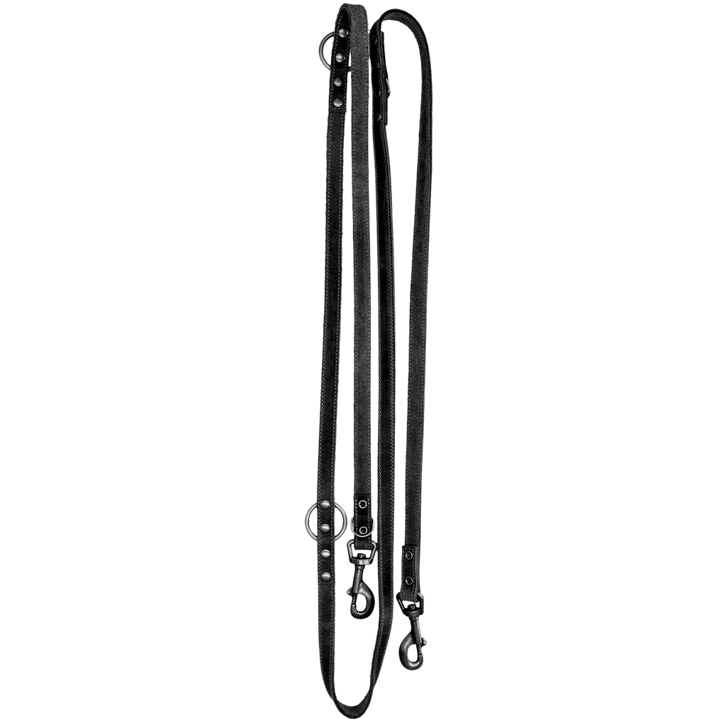 Spotted! Pro Leather Training Leash 1.6 x